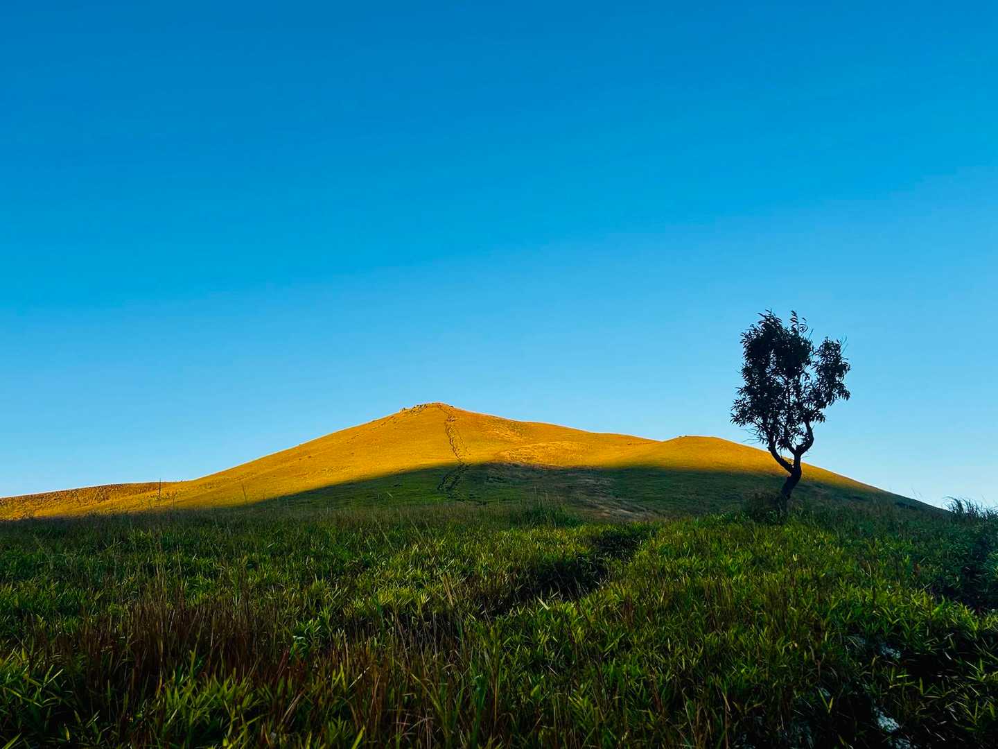 朝日☀️が照らす一目山