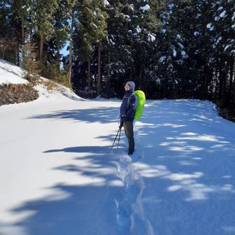 グミチョコパイン
