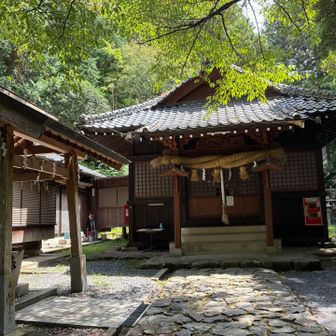 鷹見神社にて本日の無事お礼🙏
手水のお水で、シャキッとしました💦