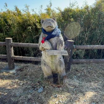 熊の木彫りがお出迎え