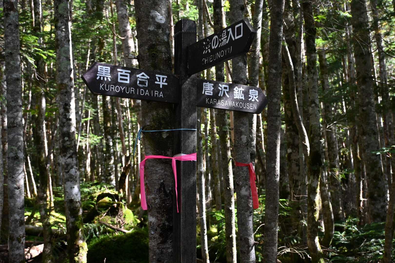 渋の湯方面との分岐。