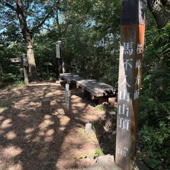 本日の目標に到着
桜峠へ引き返して帰ります