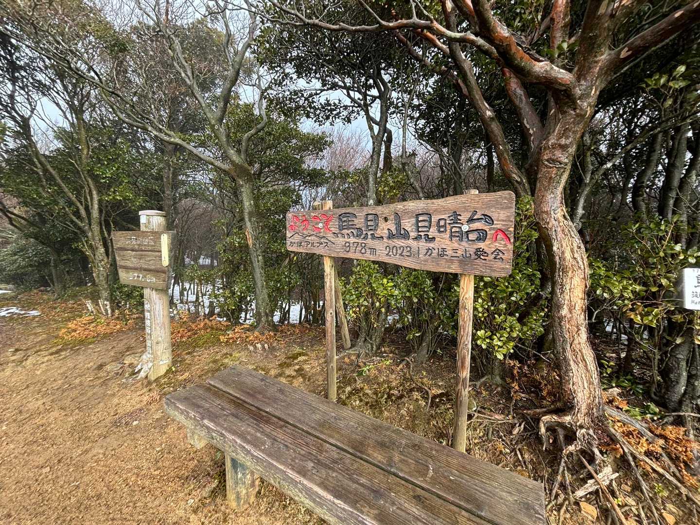おおお！明るくなってきた⁉️