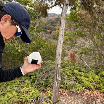 わからん、、、