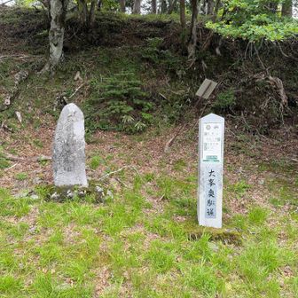 ここから山上ヶ岳まで奥駆道に