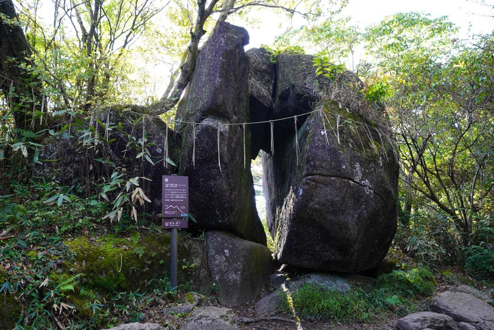 ここも間潜り