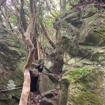 全身の汗が出たあとの岩登りはスパルタ。