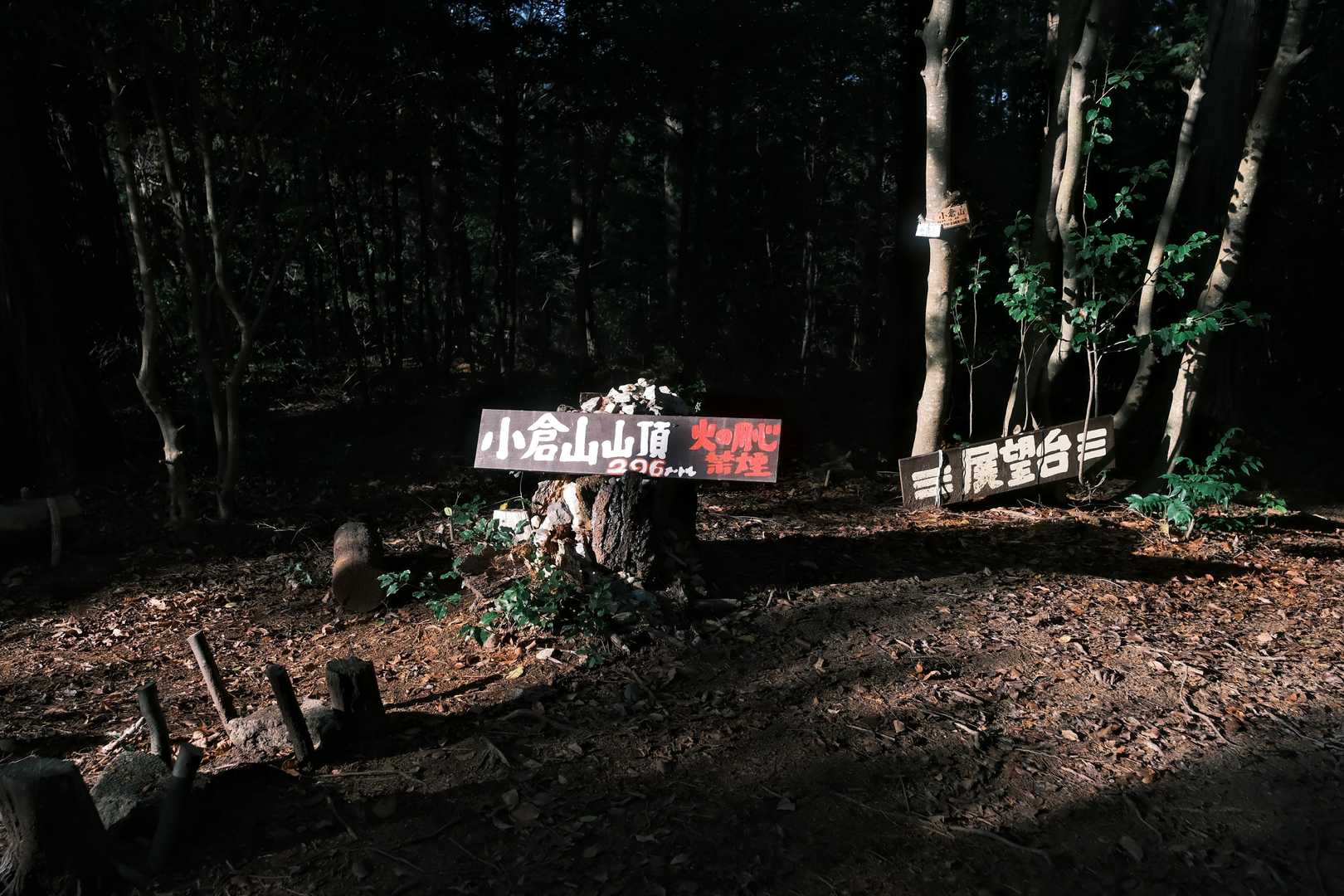 なんだかんだで山頂！