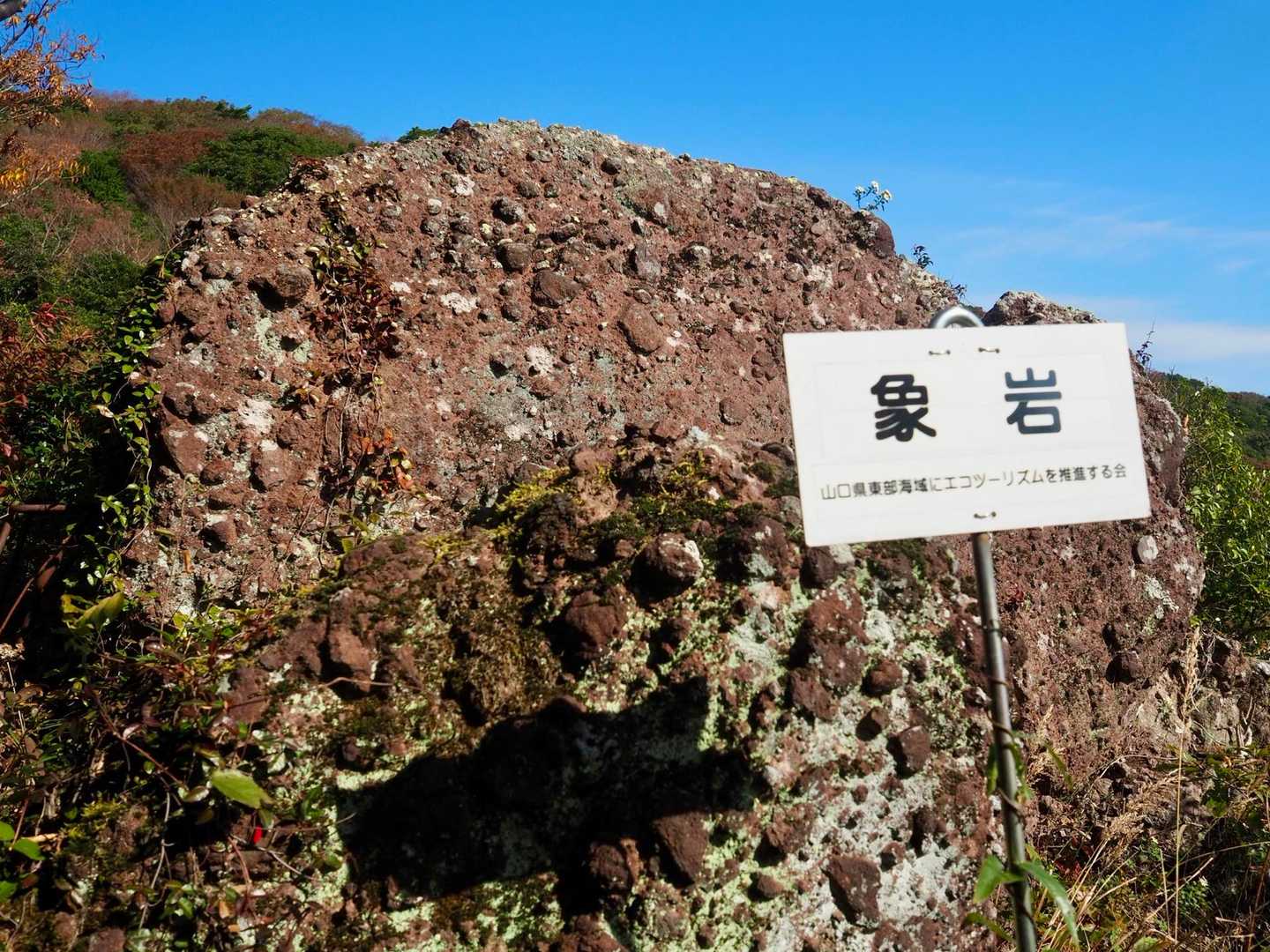 ゾウ🐘の背中のよう？