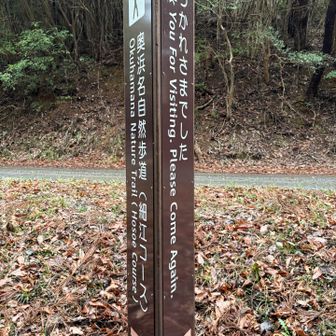 ありがとござますぅ