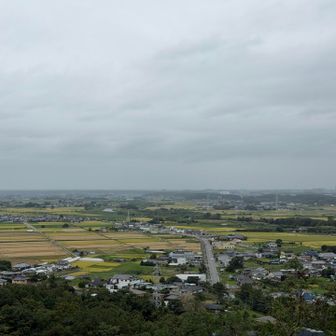 牛久大仏様も霞んで見えず☁️