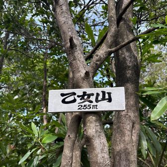 乙女山？乙女峠？