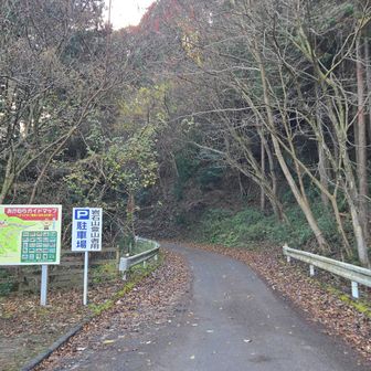 ここからスタート
珍しく先客も