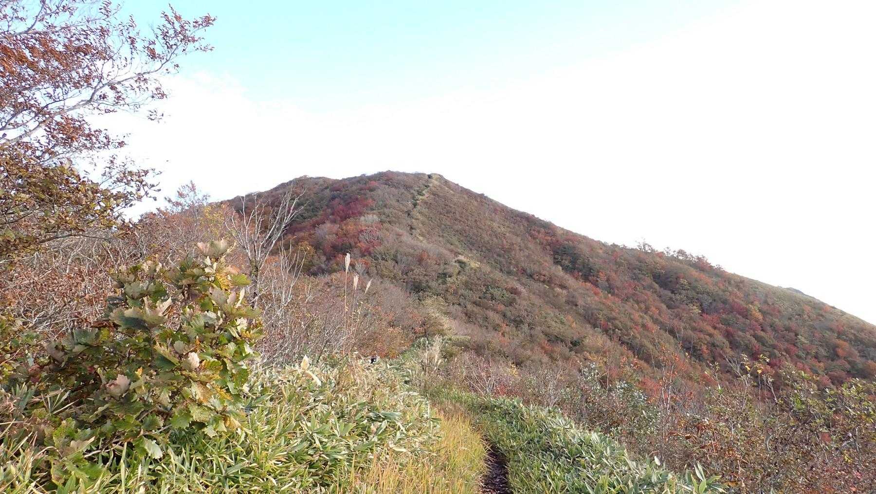 景色を眺めながらノンビリ歩く。