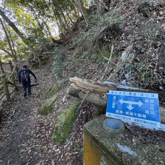 歩く🚶‍♀️‍➡️