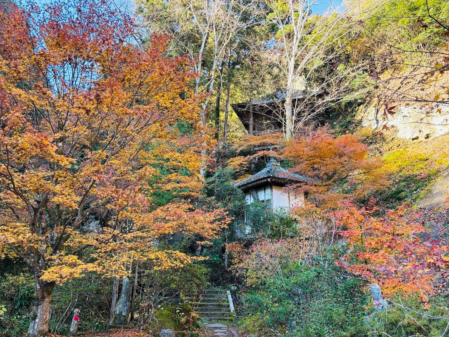 お寺はとっても素敵な場で心地良い✨