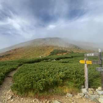 双六岳は秋色