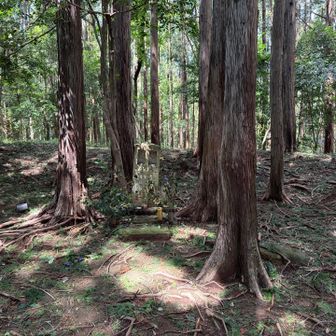小藪山の山頂