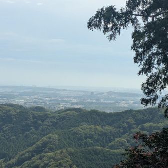 稲荷山から