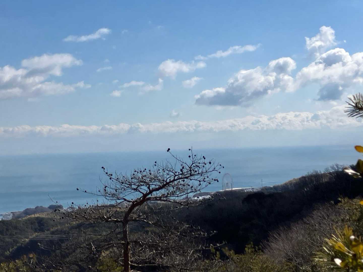 空中展望台から観覧車🎡