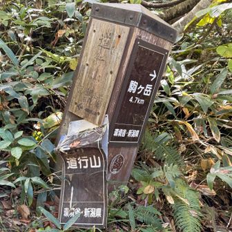 さぁ再び頑張って行こう！