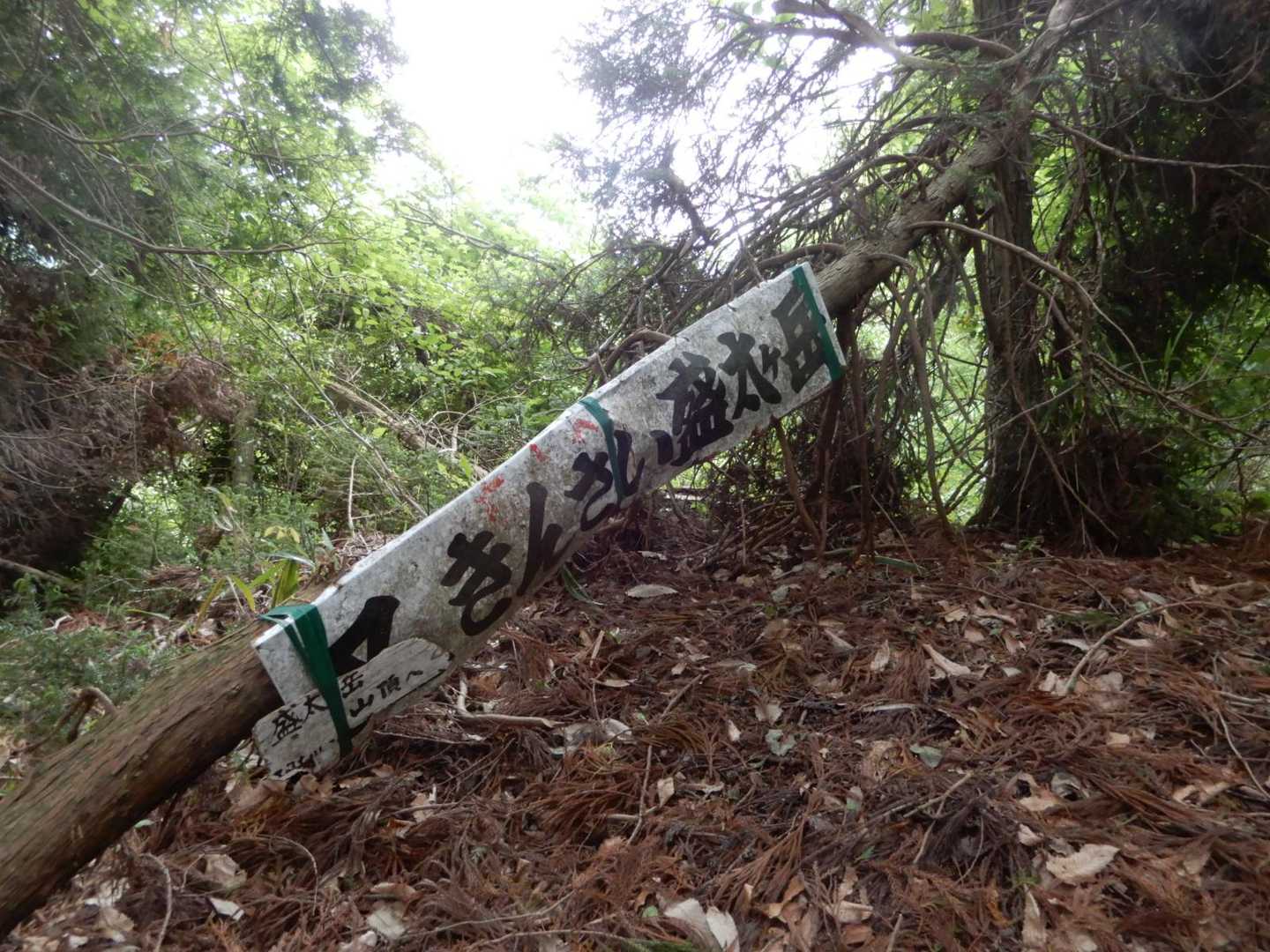 かつてはよく登られていたのだろうか？