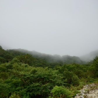 雲の下まで降りて来ました