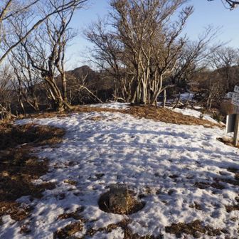 先週の雪は溶けちゃってるね