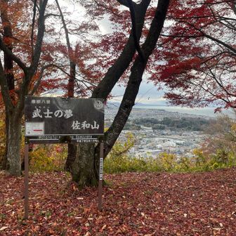 サクッと落ち葉いっぱいの山頂到着✌️❗️
