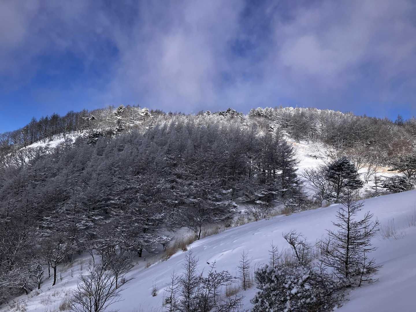時折青空が広がります。