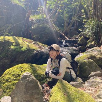 カリメロさん