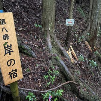 第8靡　岸ノ宿跡