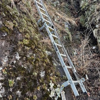 この上が鷹戻し