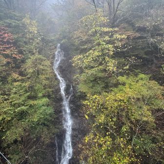 三頭大滝🩵

雨がたくさん降った後なので水量が多かった