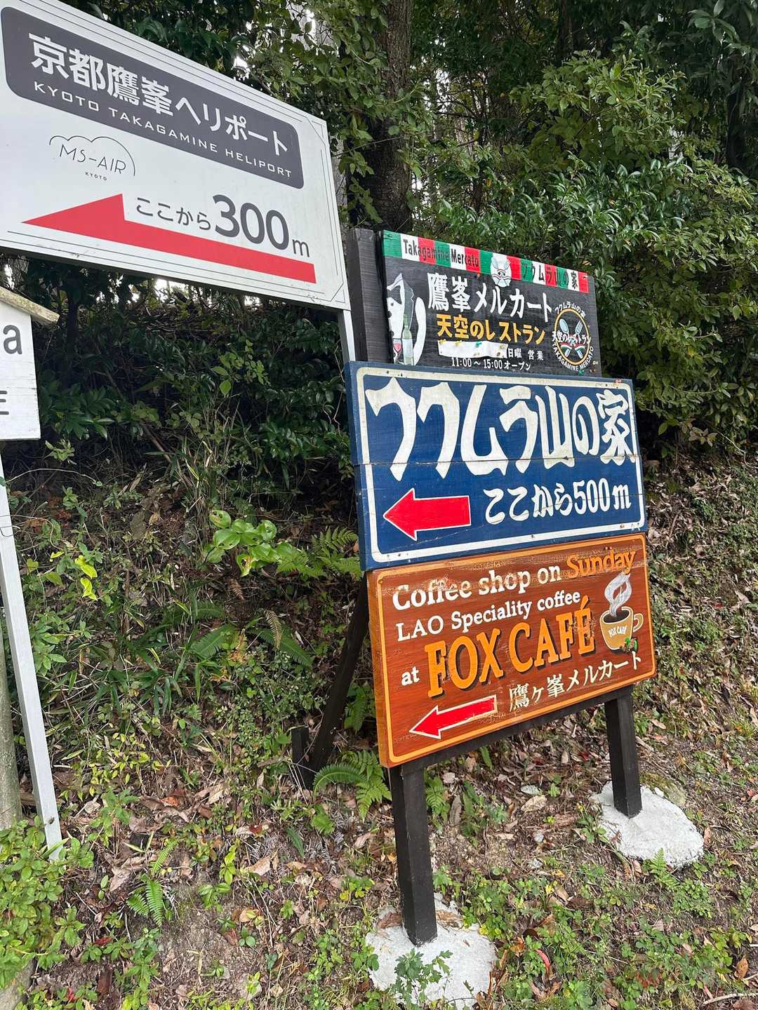 有名なレストランがあるらしい👀