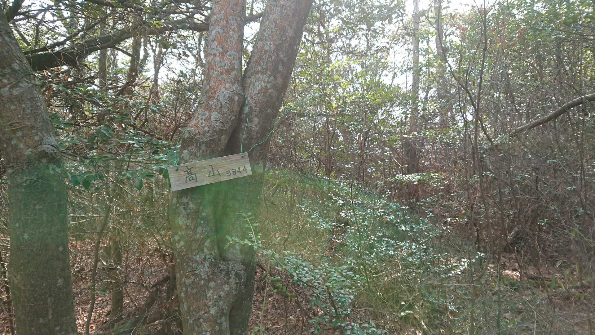 高山（岡山県総社市）の写真