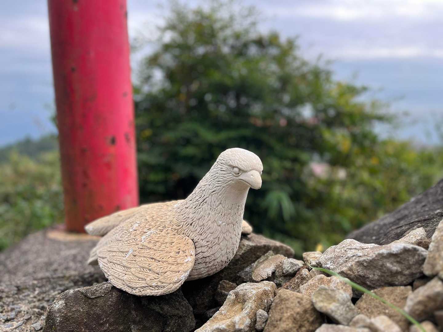 🐸のかわりに🐦