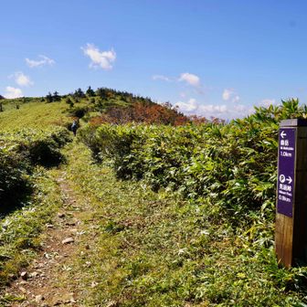 畚岳登山口に到着