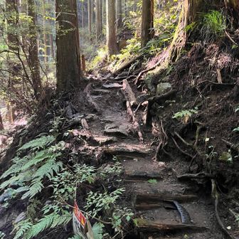 16時15分のバスに乗る為に必死こいて下山しました　なんとか間に合いました
時間無かったからバス乗る前に着替えられなかった　汗臭かったと思います🙇
秋の1日カツコン(葛城山と金剛山)満喫出来ました✌️