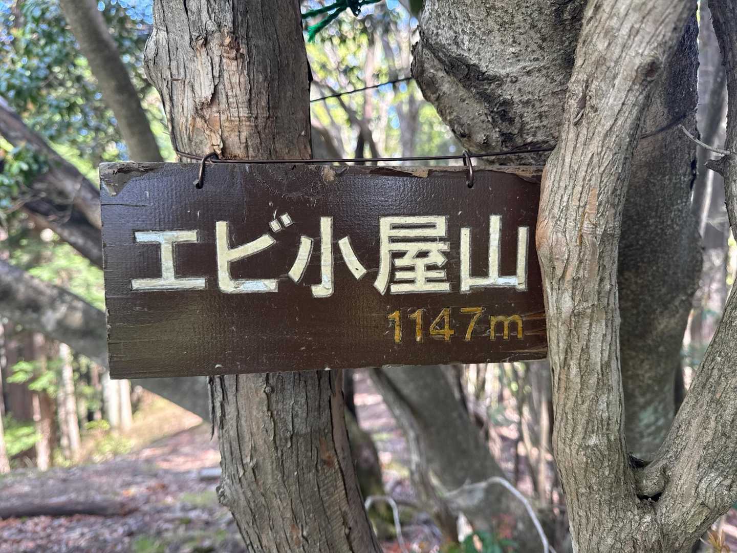 海老小屋山登頂1147m 🦐