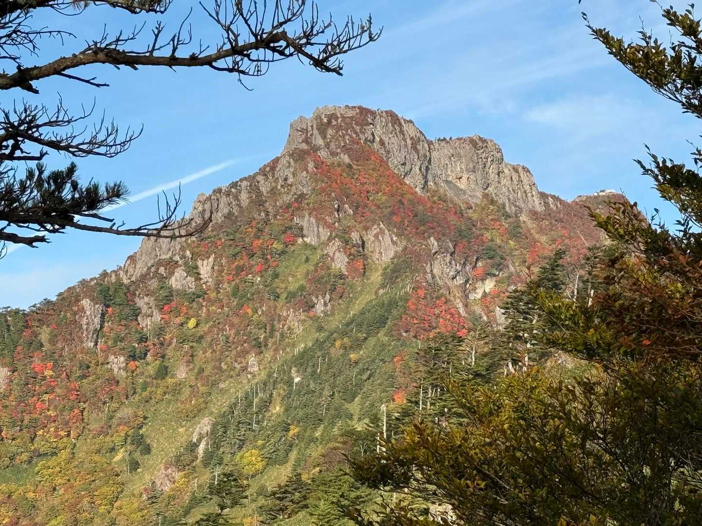 土小屋登山口-石鎚山 縦走コースの写真