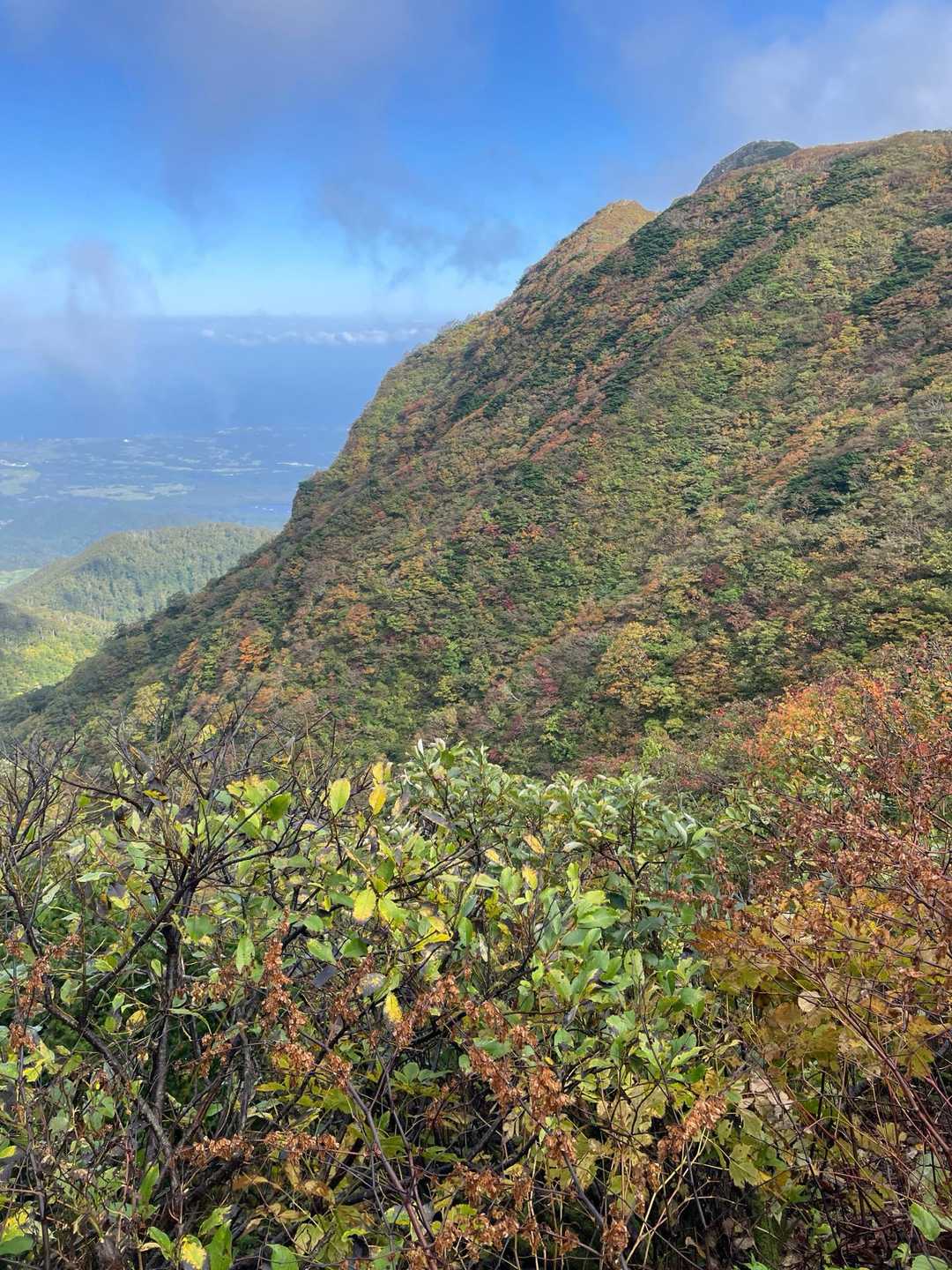 高度上げると紅葉進む