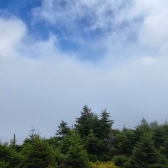 たまに見せてくる青空