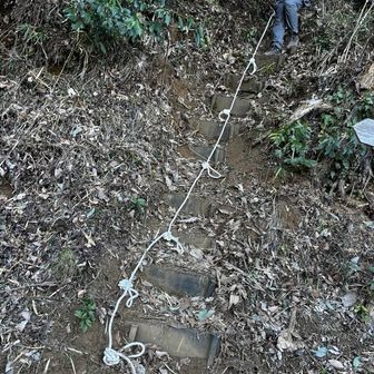 逆ルートの場合スタートがこれ嫌だな