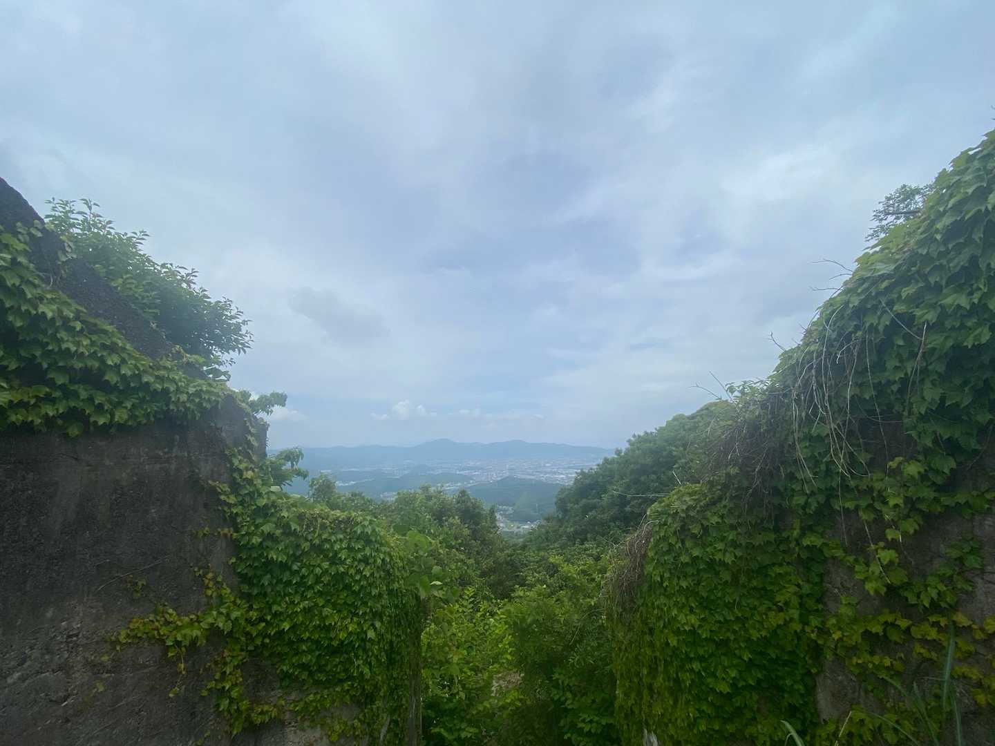 三ヶ根山登山口-三ヶ根観音-比島観音 往復コースの写真