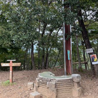 日向山山頂
