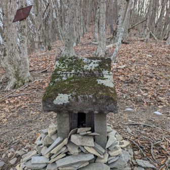 祠を見上げると
山頂です