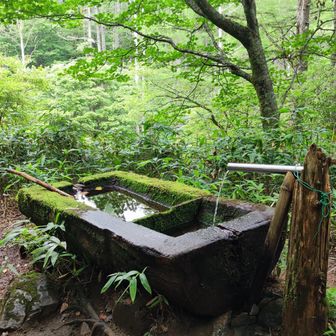 池山小屋近くの水場は涸れてたけど、こちらは水が出てました