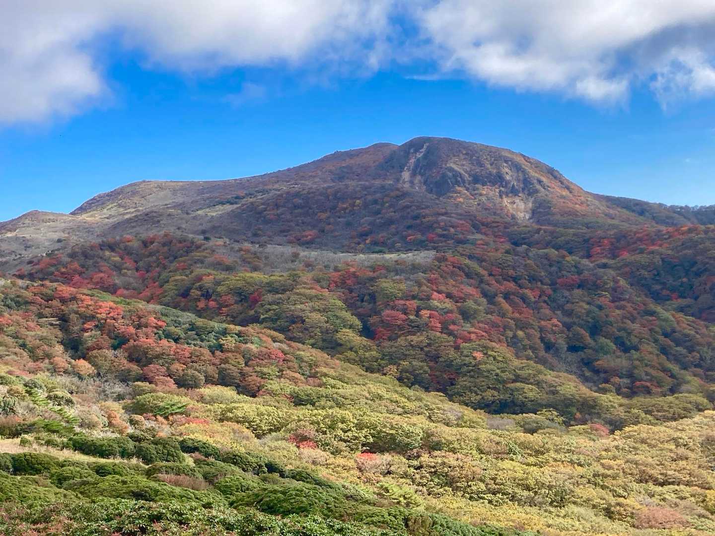 みなさんがこの光景🖼️を観にくるんです！