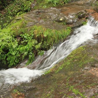 七代の滝の足元です。水流があって、安全のため向こうには渡らず、滝全体をみることができませんでした。